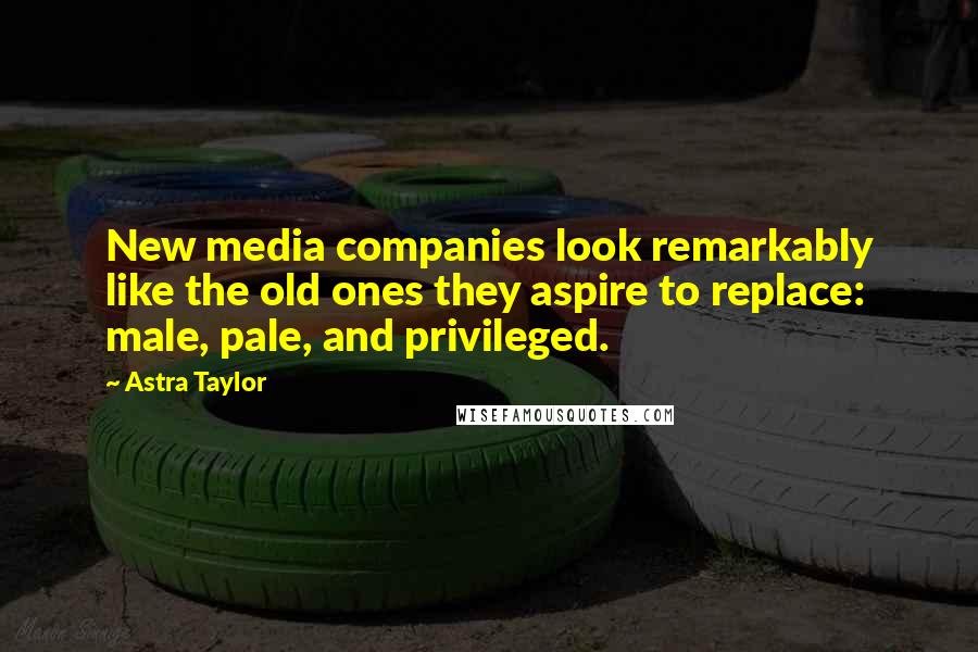 Astra Taylor Quotes: New media companies look remarkably like the old ones they aspire to replace: male, pale, and privileged.