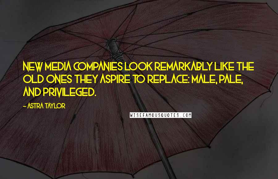 Astra Taylor Quotes: New media companies look remarkably like the old ones they aspire to replace: male, pale, and privileged.