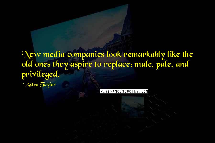 Astra Taylor Quotes: New media companies look remarkably like the old ones they aspire to replace: male, pale, and privileged.