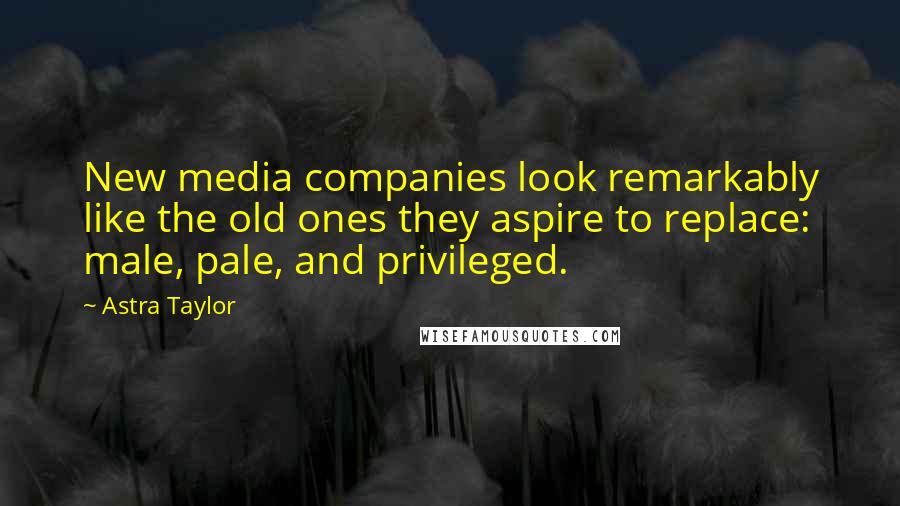 Astra Taylor Quotes: New media companies look remarkably like the old ones they aspire to replace: male, pale, and privileged.