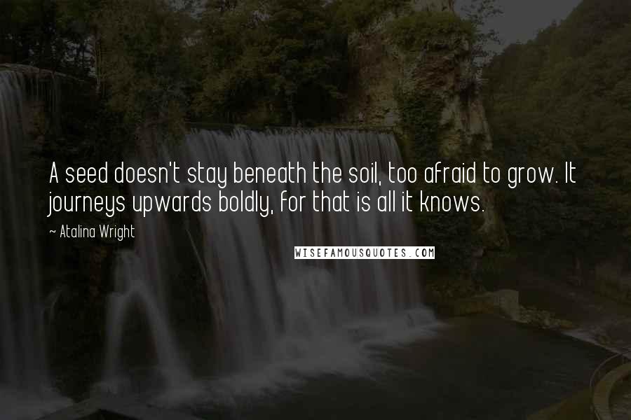 Atalina Wright Quotes: A seed doesn't stay beneath the soil, too afraid to grow. It journeys upwards boldly, for that is all it knows.
