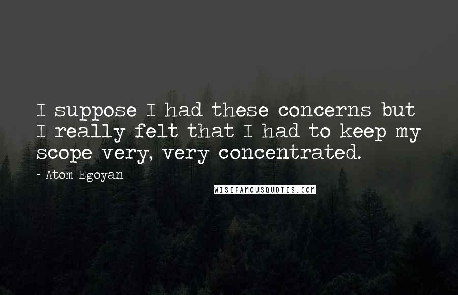 Atom Egoyan Quotes: I suppose I had these concerns but I really felt that I had to keep my scope very, very concentrated.