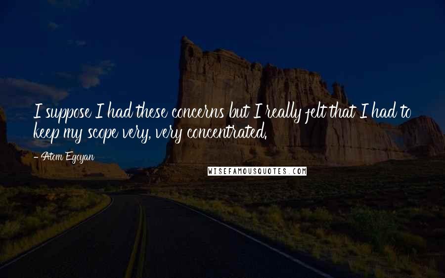 Atom Egoyan Quotes: I suppose I had these concerns but I really felt that I had to keep my scope very, very concentrated.