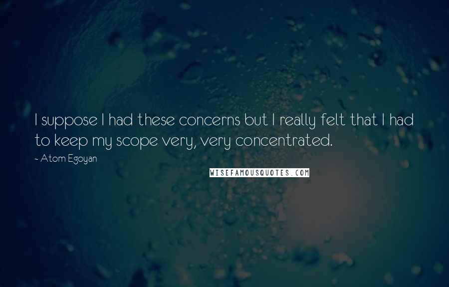 Atom Egoyan Quotes: I suppose I had these concerns but I really felt that I had to keep my scope very, very concentrated.