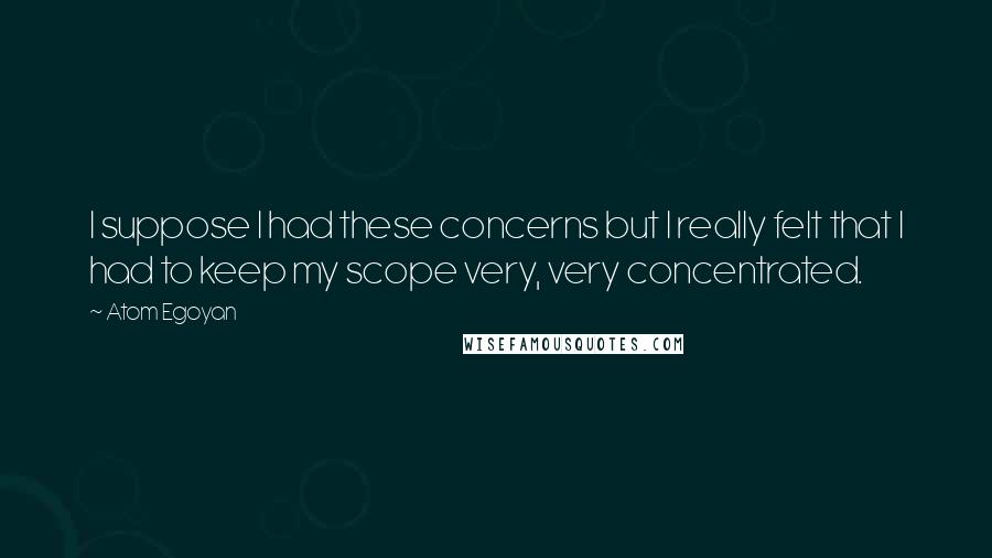 Atom Egoyan Quotes: I suppose I had these concerns but I really felt that I had to keep my scope very, very concentrated.