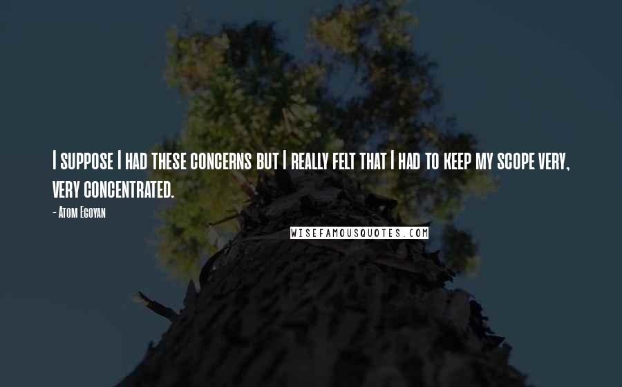 Atom Egoyan Quotes: I suppose I had these concerns but I really felt that I had to keep my scope very, very concentrated.