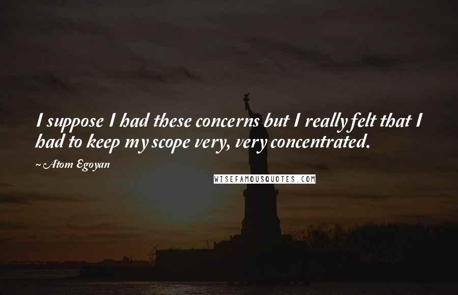 Atom Egoyan Quotes: I suppose I had these concerns but I really felt that I had to keep my scope very, very concentrated.