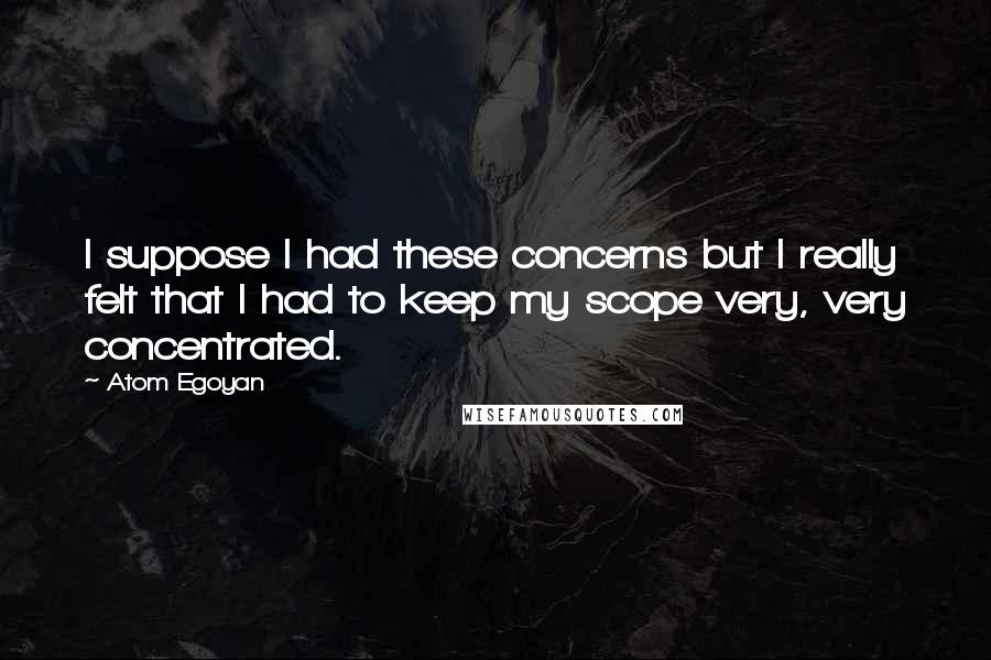 Atom Egoyan Quotes: I suppose I had these concerns but I really felt that I had to keep my scope very, very concentrated.