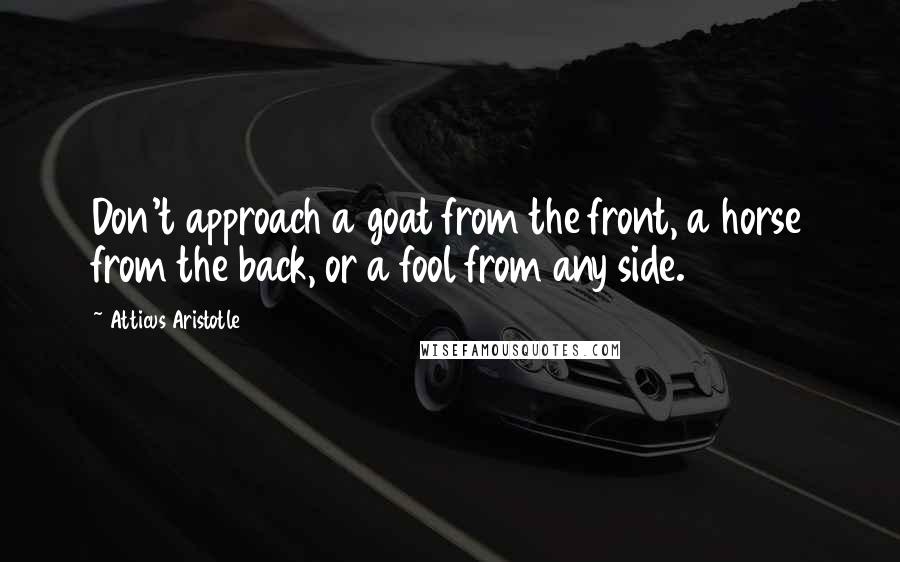 Atticus Aristotle Quotes: Don't approach a goat from the front, a horse from the back, or a fool from any side.