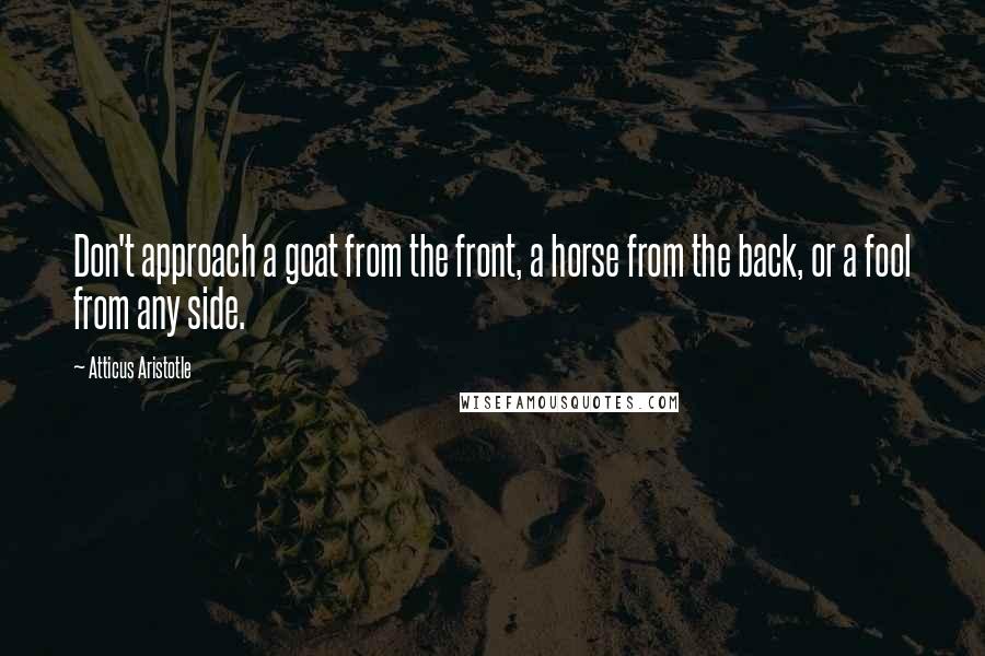 Atticus Aristotle Quotes: Don't approach a goat from the front, a horse from the back, or a fool from any side.