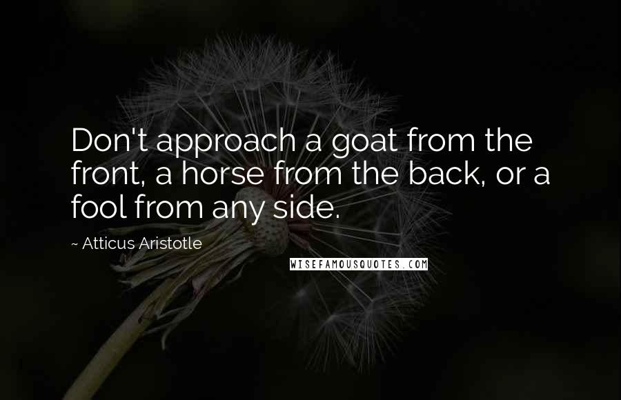 Atticus Aristotle Quotes: Don't approach a goat from the front, a horse from the back, or a fool from any side.