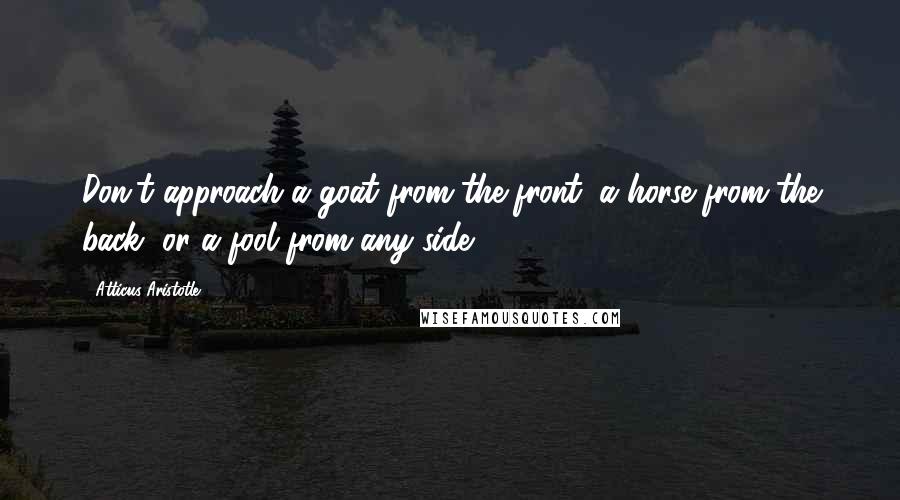 Atticus Aristotle Quotes: Don't approach a goat from the front, a horse from the back, or a fool from any side.