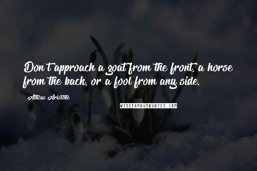 Atticus Aristotle Quotes: Don't approach a goat from the front, a horse from the back, or a fool from any side.