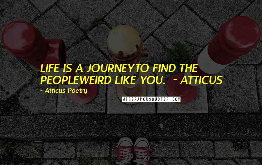 Atticus Poetry Quotes: LIFE IS A JOURNEYTO FIND THE PEOPLEWEIRD LIKE YOU.  - ATTICUS