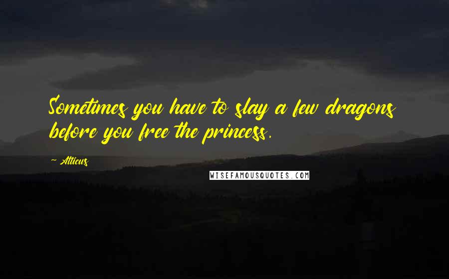 Atticus Quotes: Sometimes you have to slay a few dragons before you free the princess.