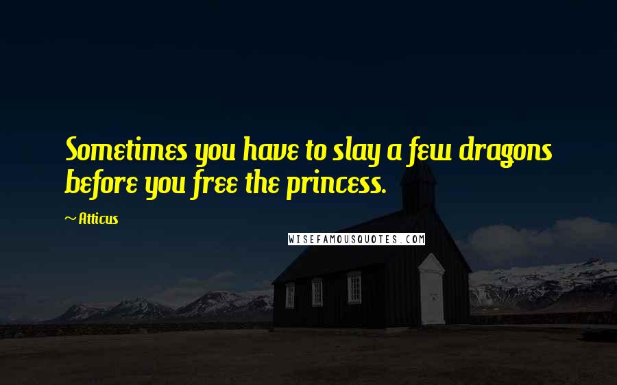 Atticus Quotes: Sometimes you have to slay a few dragons before you free the princess.