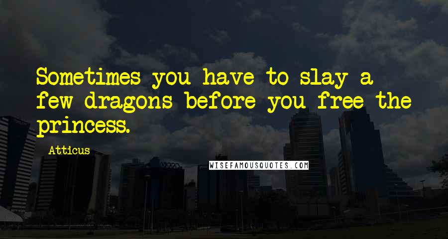 Atticus Quotes: Sometimes you have to slay a few dragons before you free the princess.