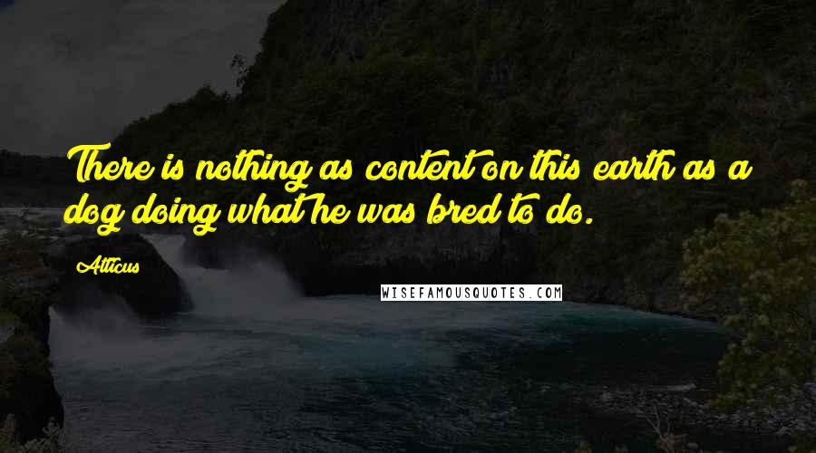 Atticus Quotes: There is nothing as content on this earth as a dog doing what he was bred to do.