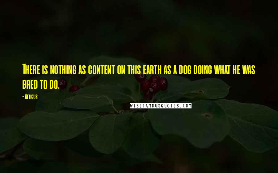 Atticus Quotes: There is nothing as content on this earth as a dog doing what he was bred to do.