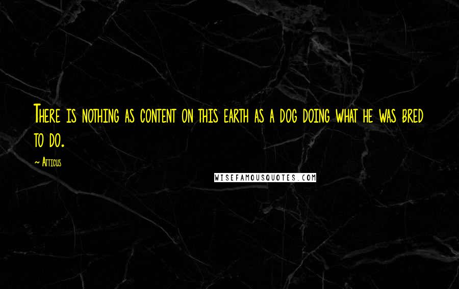 Atticus Quotes: There is nothing as content on this earth as a dog doing what he was bred to do.