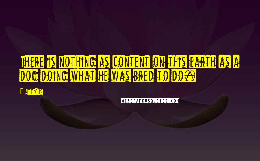 Atticus Quotes: There is nothing as content on this earth as a dog doing what he was bred to do.