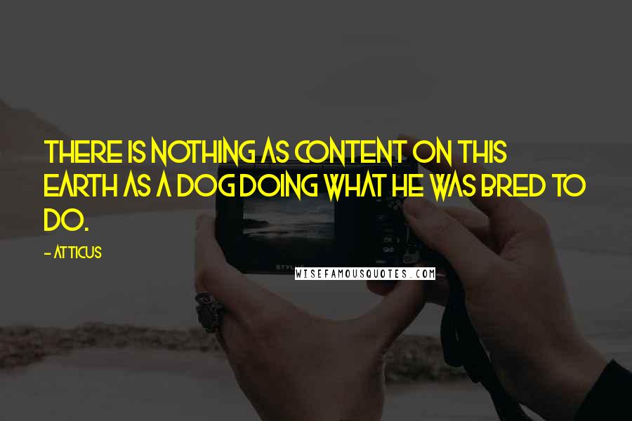 Atticus Quotes: There is nothing as content on this earth as a dog doing what he was bred to do.