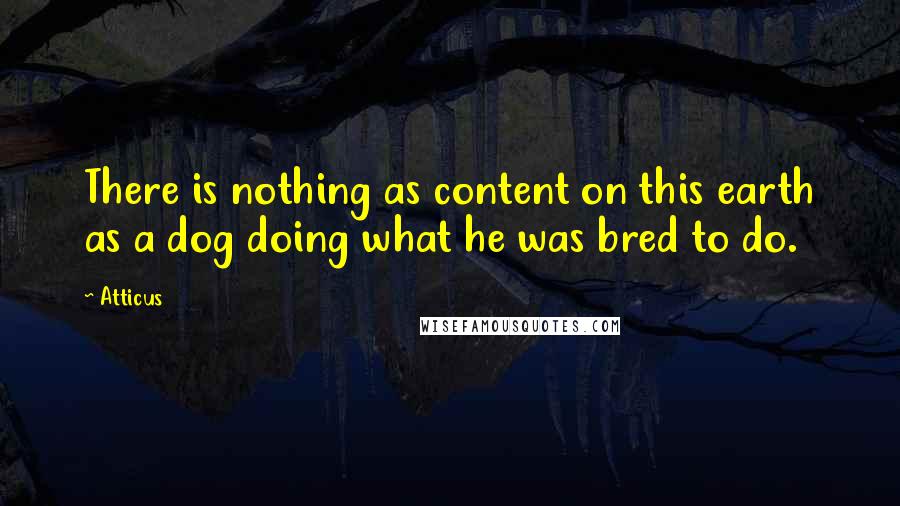 Atticus Quotes: There is nothing as content on this earth as a dog doing what he was bred to do.