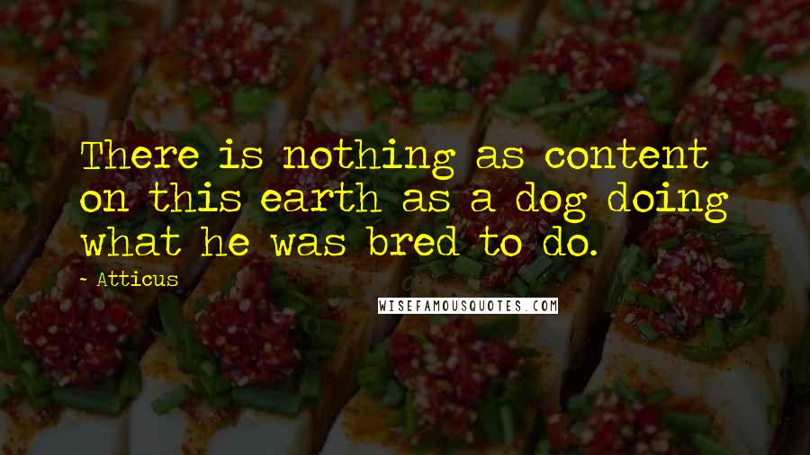 Atticus Quotes: There is nothing as content on this earth as a dog doing what he was bred to do.