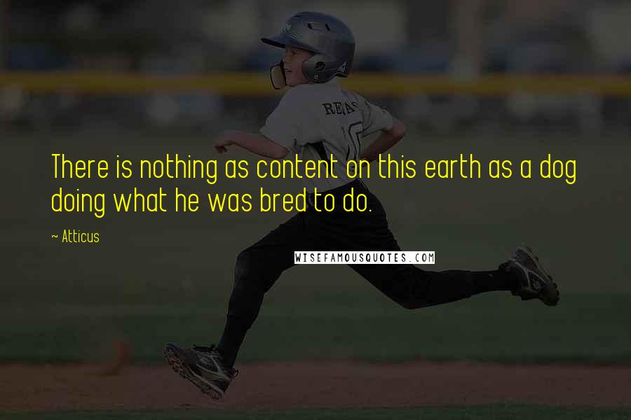 Atticus Quotes: There is nothing as content on this earth as a dog doing what he was bred to do.