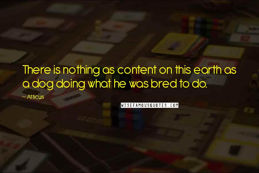 Atticus Quotes: There is nothing as content on this earth as a dog doing what he was bred to do.