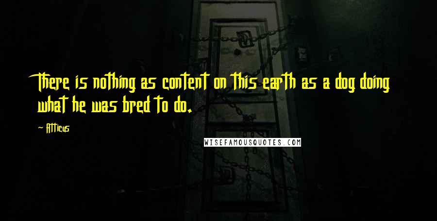 Atticus Quotes: There is nothing as content on this earth as a dog doing what he was bred to do.