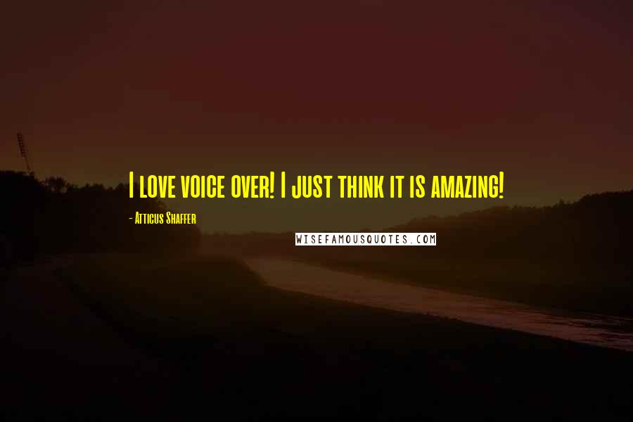 Atticus Shaffer Quotes: I love voice over! I just think it is amazing!