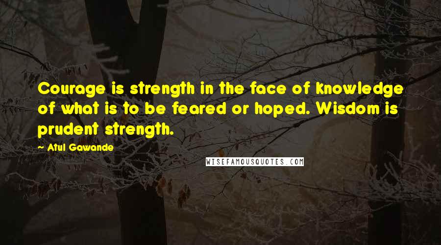 Atul Gawande Quotes: Courage is strength in the face of knowledge of what is to be feared or hoped. Wisdom is prudent strength.