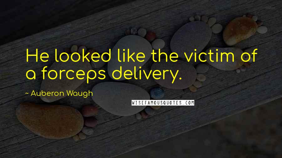 Auberon Waugh Quotes: He looked like the victim of a forceps delivery.