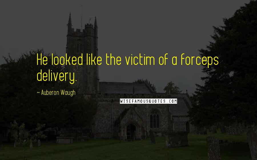 Auberon Waugh Quotes: He looked like the victim of a forceps delivery.