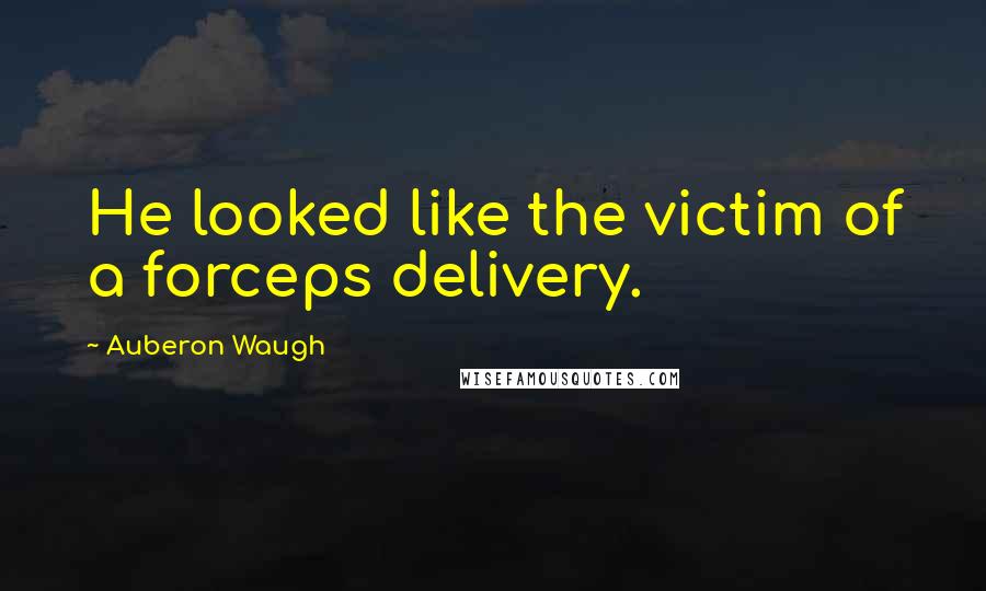 Auberon Waugh Quotes: He looked like the victim of a forceps delivery.