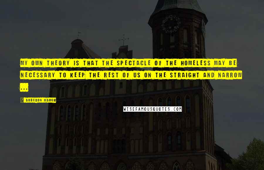 Auberon Waugh Quotes: My own theory is that the spectacle of the homeless may be necessary to keep the rest of us on the straight and narrow ...