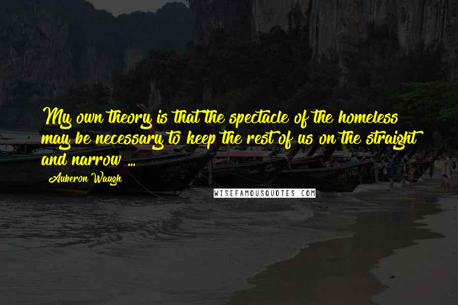 Auberon Waugh Quotes: My own theory is that the spectacle of the homeless may be necessary to keep the rest of us on the straight and narrow ...