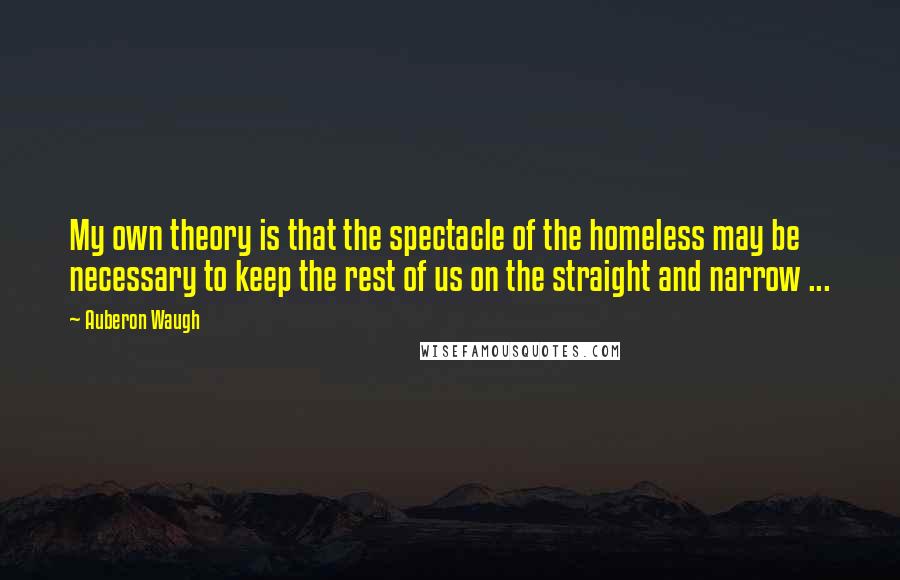 Auberon Waugh Quotes: My own theory is that the spectacle of the homeless may be necessary to keep the rest of us on the straight and narrow ...