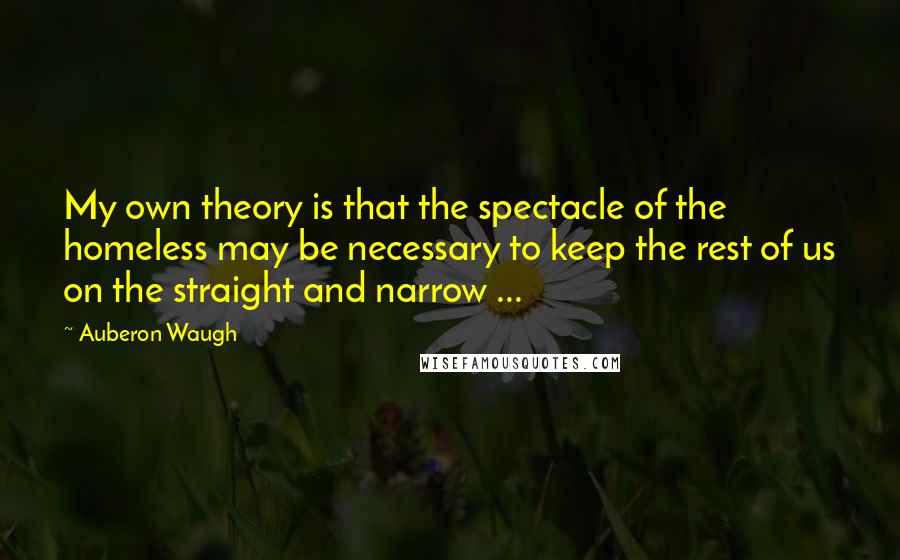Auberon Waugh Quotes: My own theory is that the spectacle of the homeless may be necessary to keep the rest of us on the straight and narrow ...