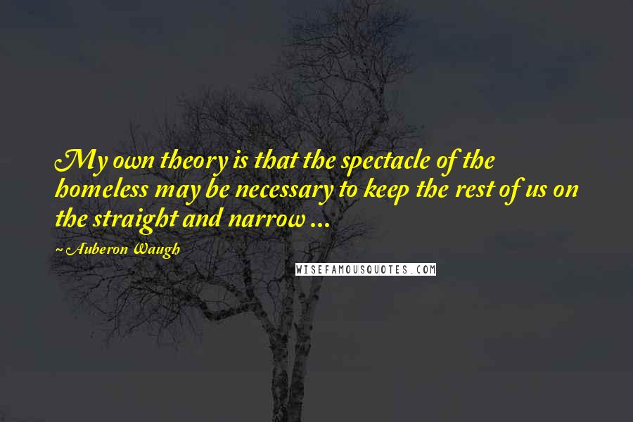 Auberon Waugh Quotes: My own theory is that the spectacle of the homeless may be necessary to keep the rest of us on the straight and narrow ...