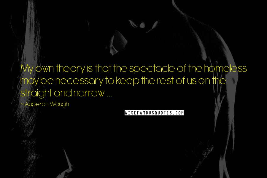 Auberon Waugh Quotes: My own theory is that the spectacle of the homeless may be necessary to keep the rest of us on the straight and narrow ...