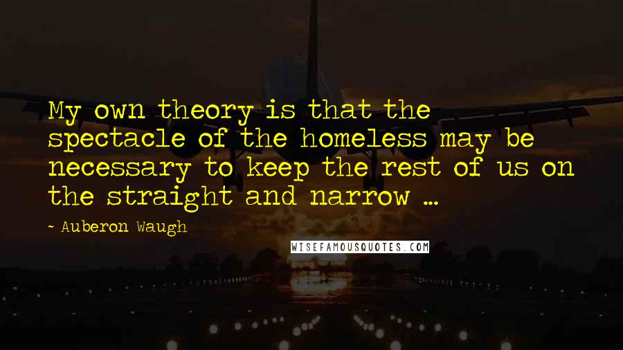 Auberon Waugh Quotes: My own theory is that the spectacle of the homeless may be necessary to keep the rest of us on the straight and narrow ...