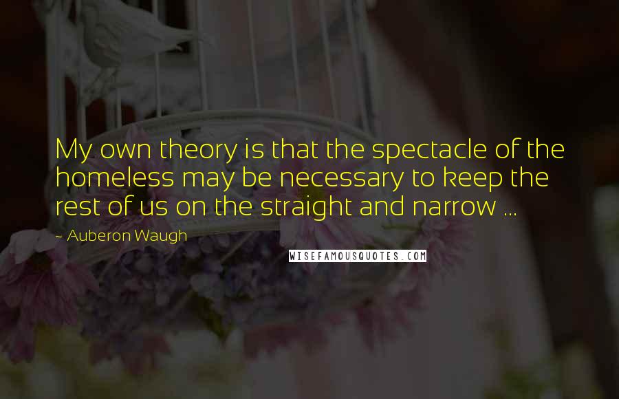 Auberon Waugh Quotes: My own theory is that the spectacle of the homeless may be necessary to keep the rest of us on the straight and narrow ...