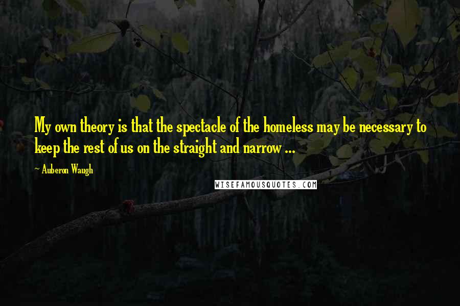 Auberon Waugh Quotes: My own theory is that the spectacle of the homeless may be necessary to keep the rest of us on the straight and narrow ...