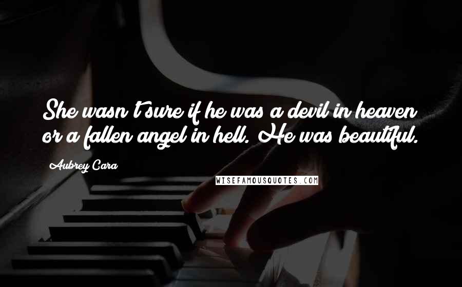 Aubrey Cara Quotes: She wasn't sure if he was a devil in heaven or a fallen angel in hell. He was beautiful.