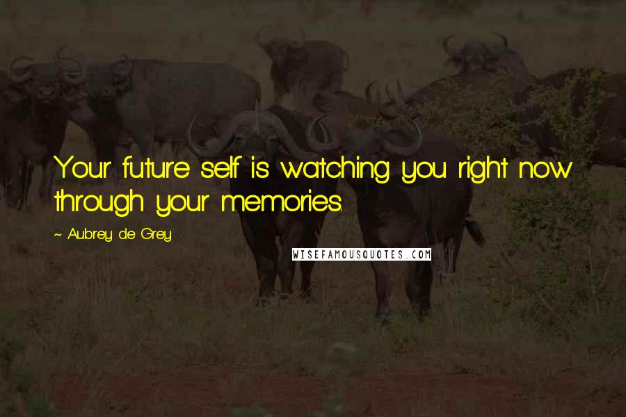 Aubrey De Grey Quotes: Your future self is watching you right now through your memories.