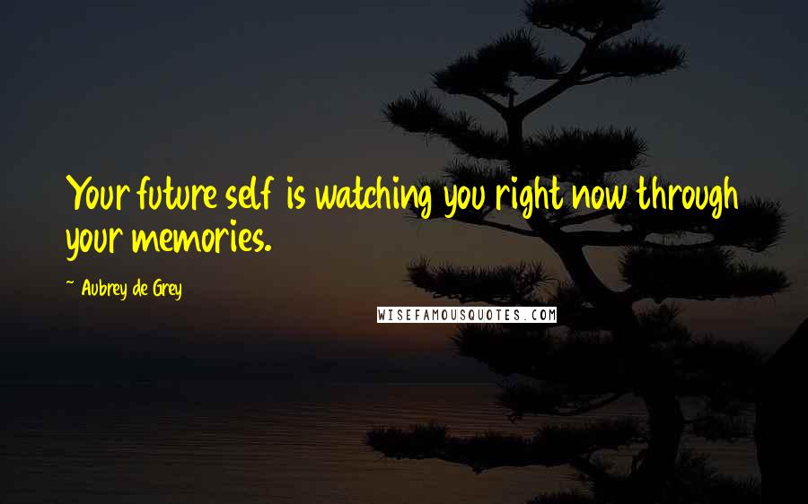 Aubrey De Grey Quotes: Your future self is watching you right now through your memories.