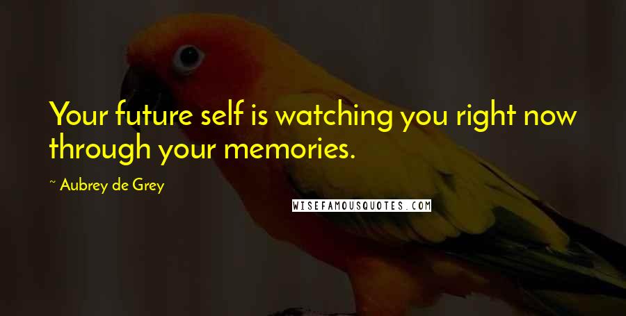 Aubrey De Grey Quotes: Your future self is watching you right now through your memories.