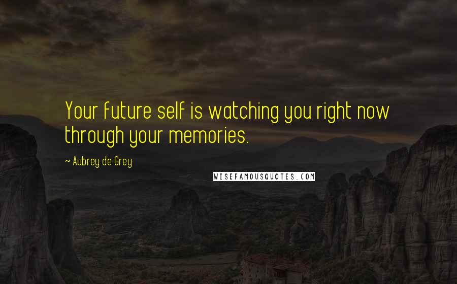 Aubrey De Grey Quotes: Your future self is watching you right now through your memories.